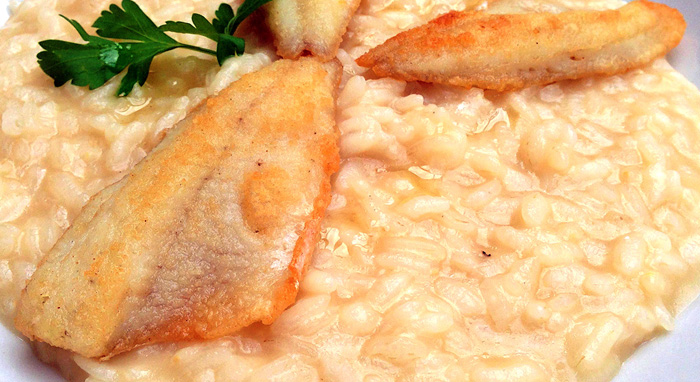 Risotto con filetti di persico: una delizia RIcetta da non perdere